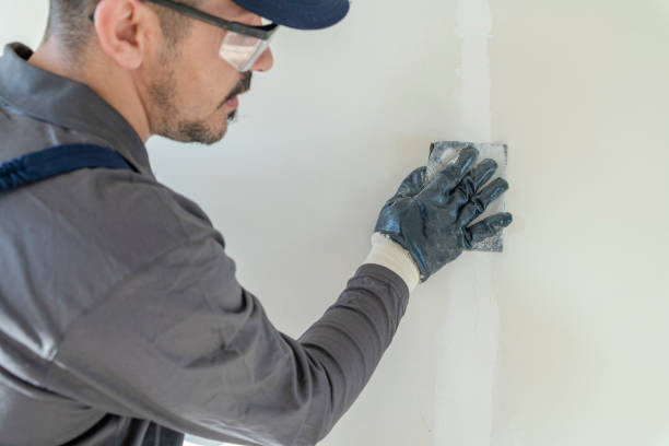 Best Mold Odor Removal Services  in Marceline, MO