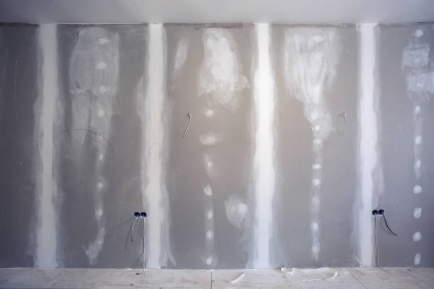 Best Mold Prevention Services  in Marceline, MO